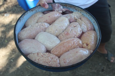 Notes from the 13th Annual World Testicle Cooking Championship